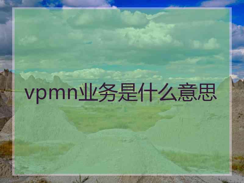 vpmn业务是什么意思