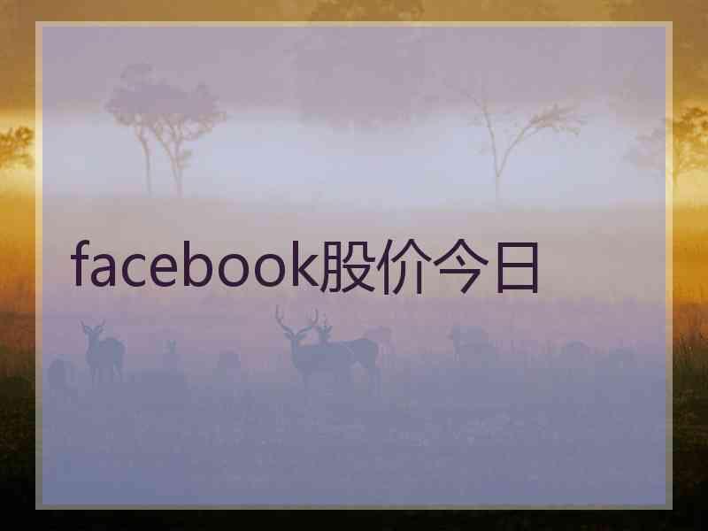 facebook股价今日