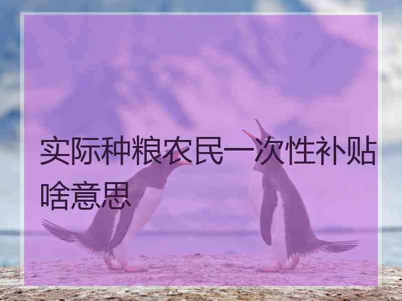 实际种粮农民一次性补贴啥意思