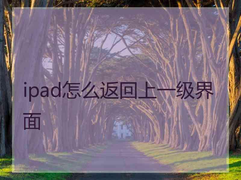 ipad怎么返回上一级界面