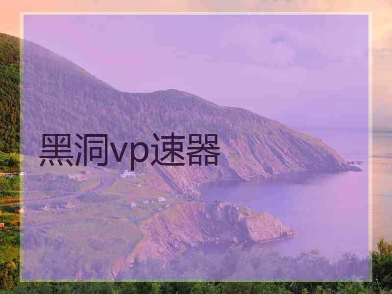 黑洞vp速器