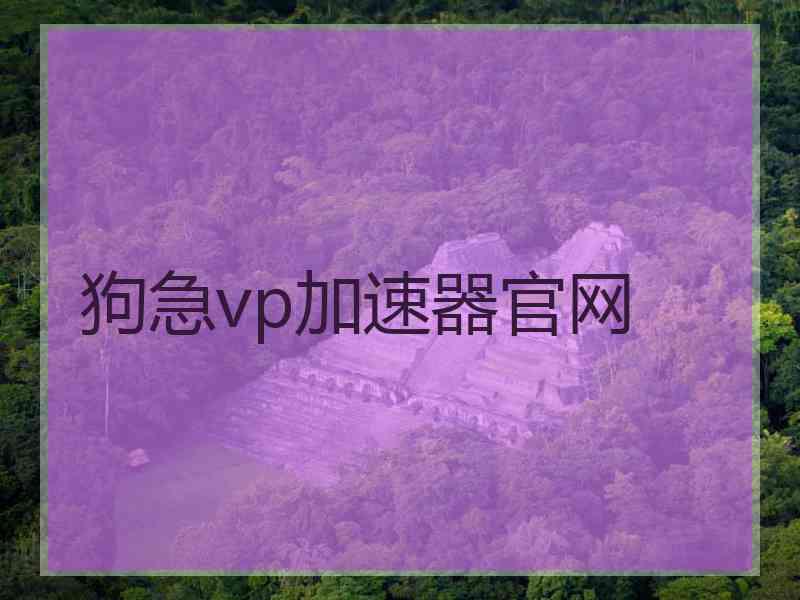 狗急vp加速器官网