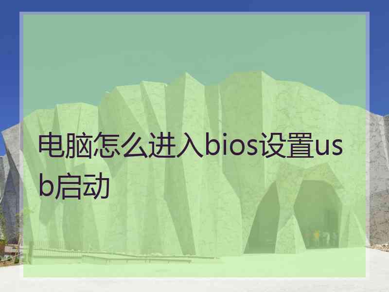 电脑怎么进入bios设置usb启动