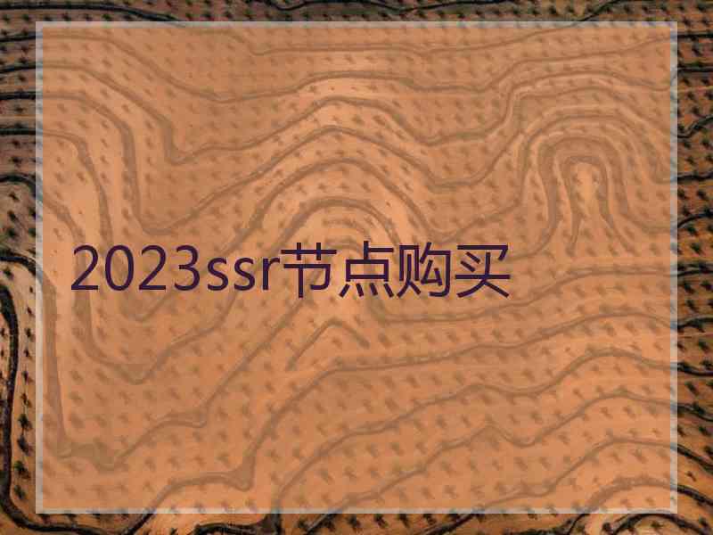 2023ssr节点购买