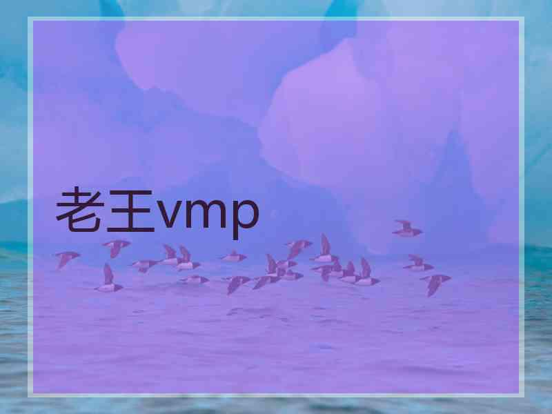 老王vmp