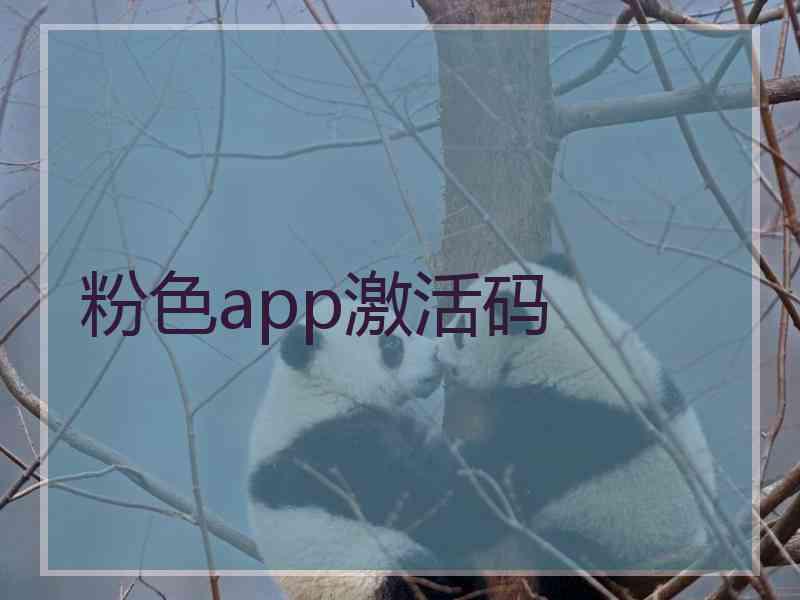 粉色app激活码