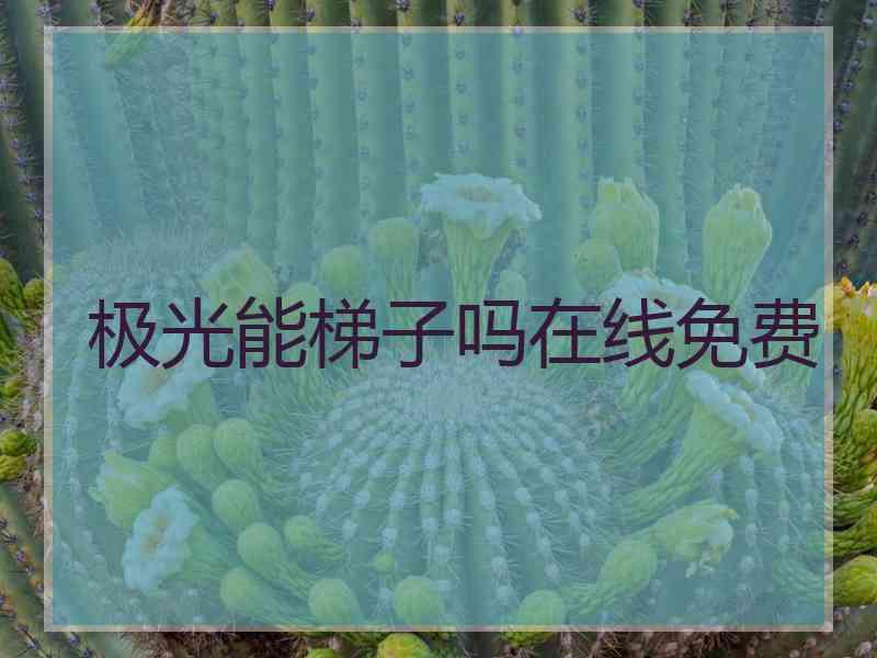 极光能梯子吗在线免费