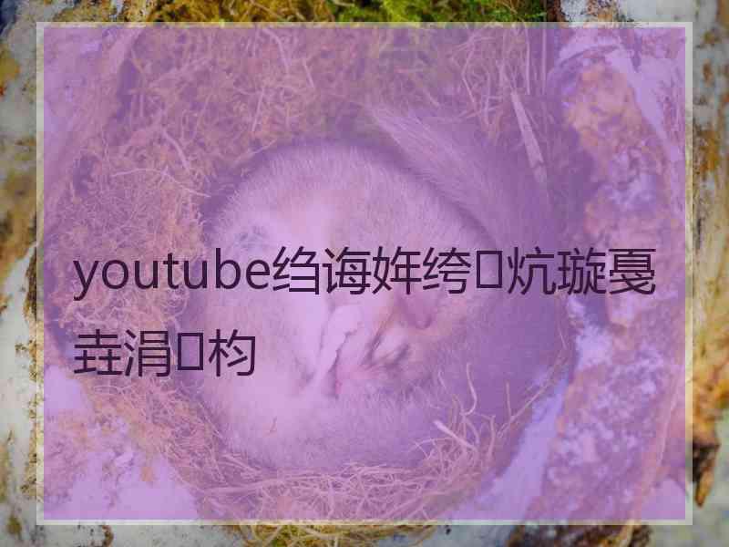 youtube绉诲姩绔炕璇戞垚涓枃