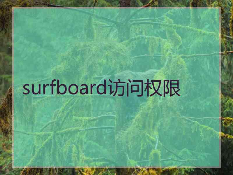 surfboard访问权限