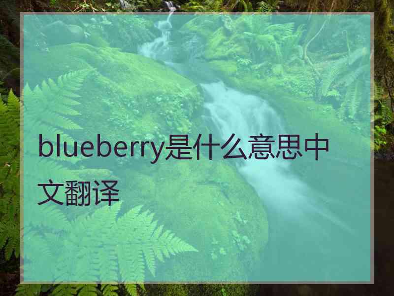 blueberry是什么意思中文翻译