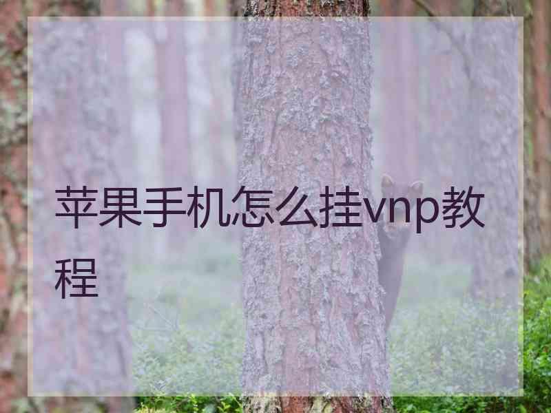 苹果手机怎么挂vnp教程