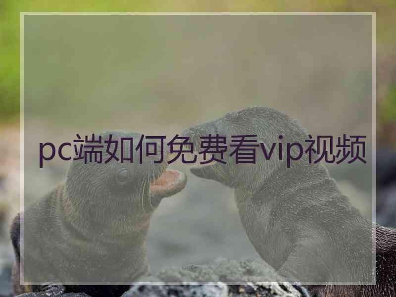 pc端如何免费看vip视频