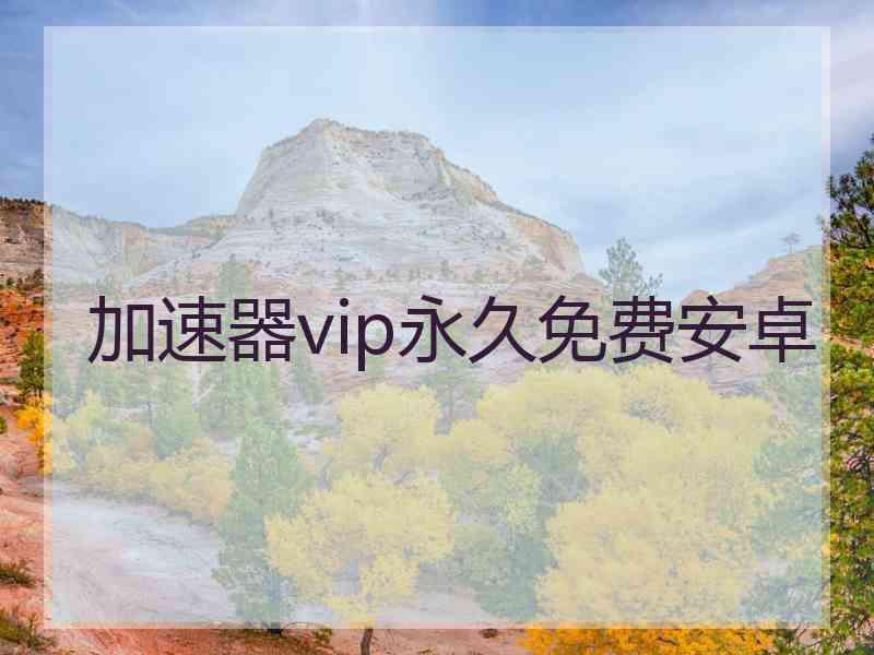 加速器vip永久免费安卓