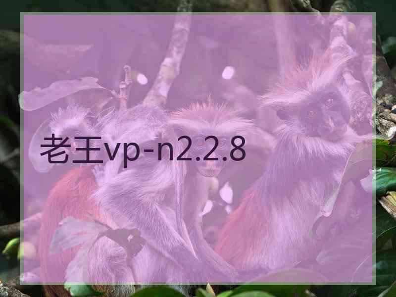 老王vp-n2.2.8