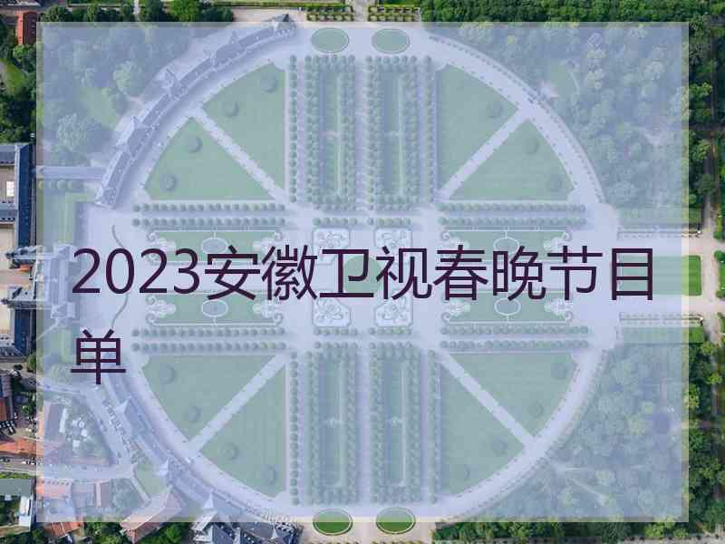 2023安徽卫视春晚节目单