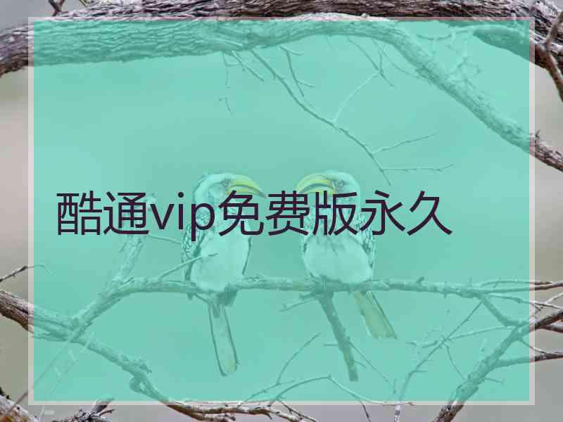 酷通vip免费版永久