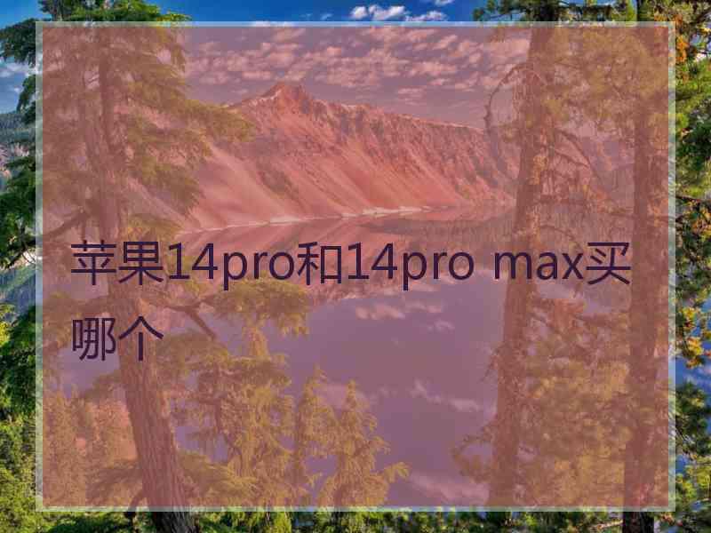 苹果14pro和14pro max买哪个