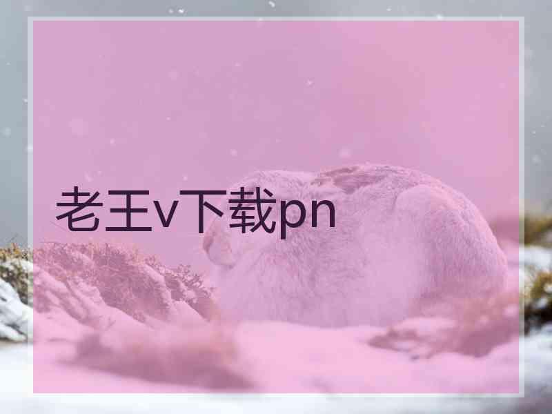 老王v下载pn