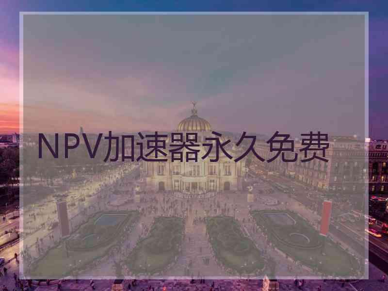 NPV加速器永久免费