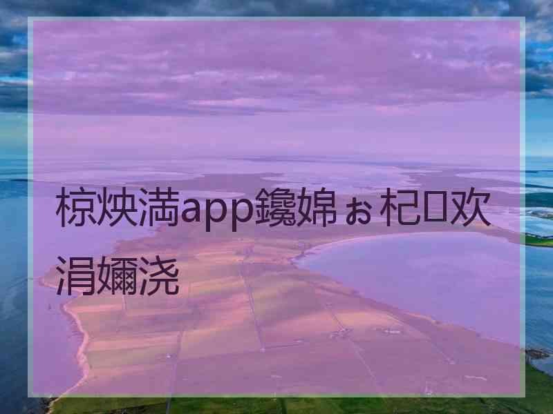 椋炴満app鑱婂ぉ杞欢涓嬭浇