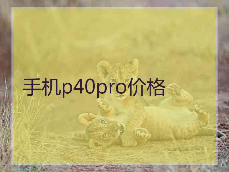 手机p40pro价格