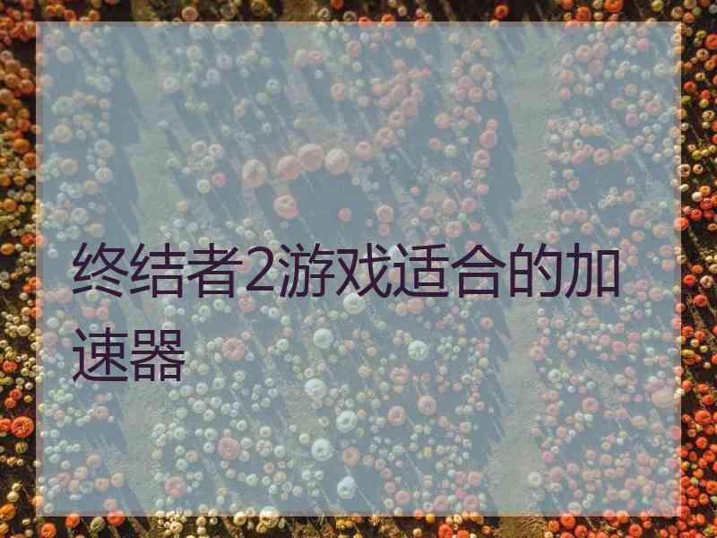 终结者2游戏适合的加速器