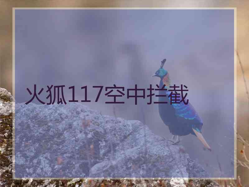 火狐117空中拦截