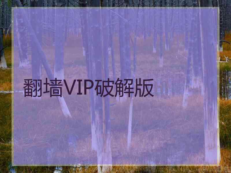 翻墙VIP破解版