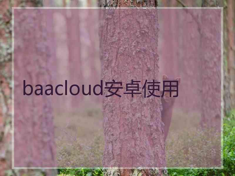 baacloud安卓使用