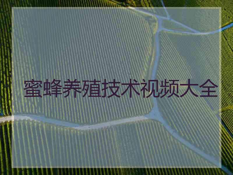 蜜蜂养殖技术视频大全