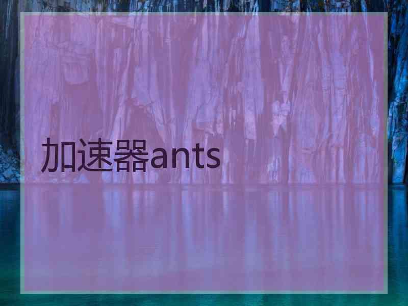 加速器ants