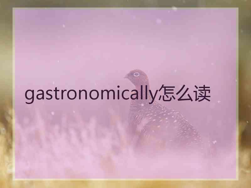 gastronomically怎么读