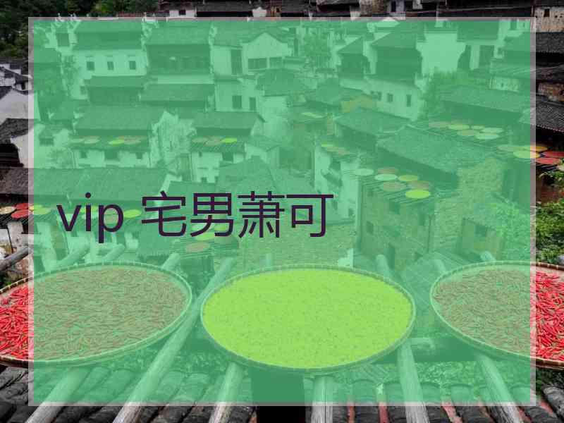 vip 宅男萧可