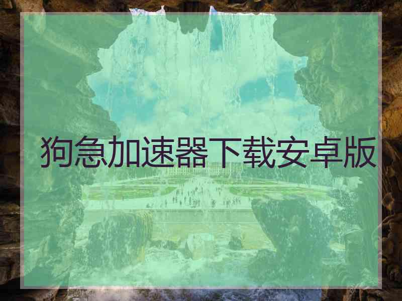 狗急加速器下载安卓版