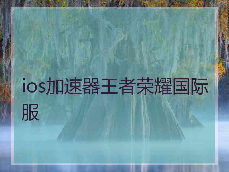 ios加速器王者荣耀国际服