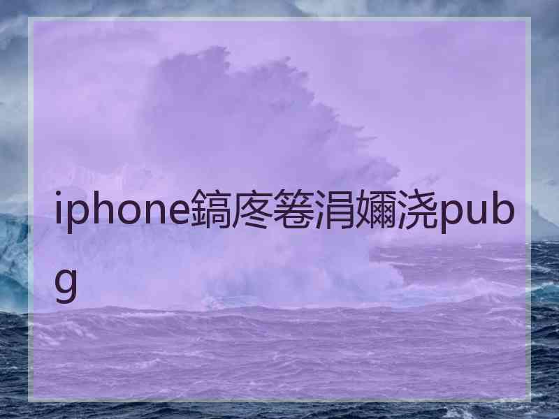 iphone鎬庝箞涓嬭浇pubg