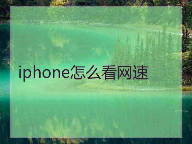 iphone怎么看网速