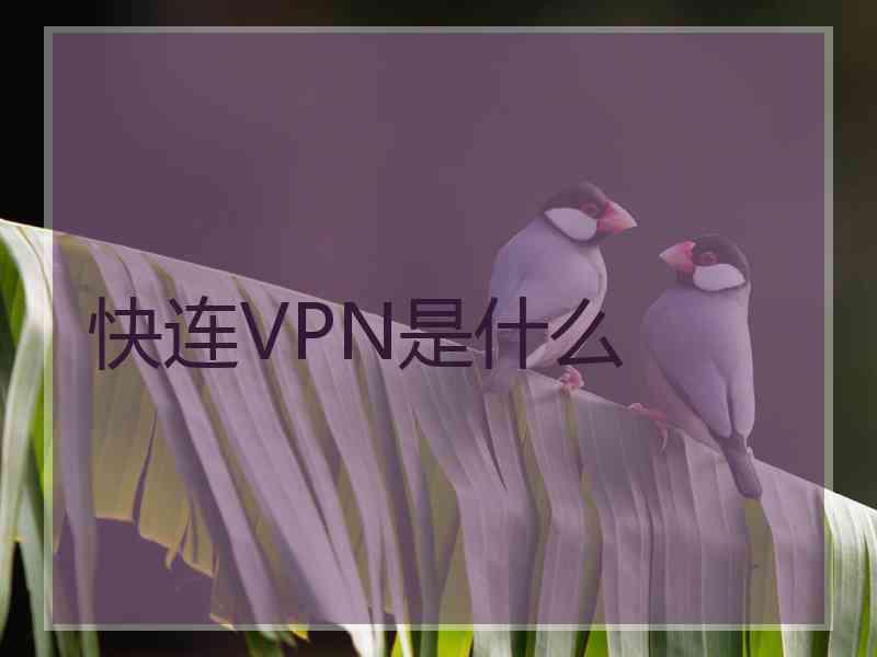 快连VPN是什么