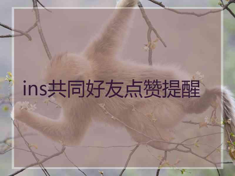 ins共同好友点赞提醒