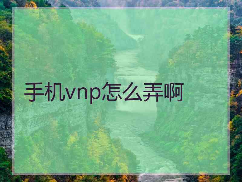 手机vnp怎么弄啊