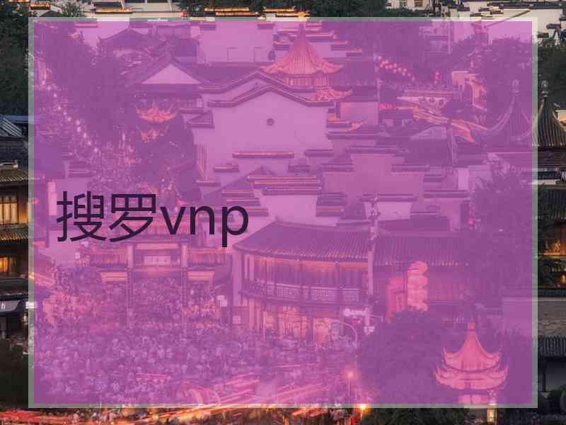 搜罗vnp