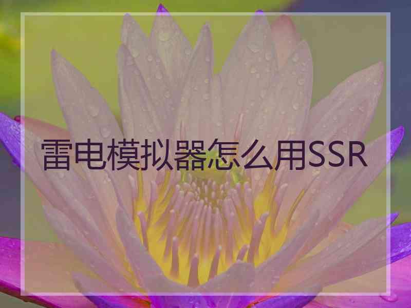 雷电模拟器怎么用SSR