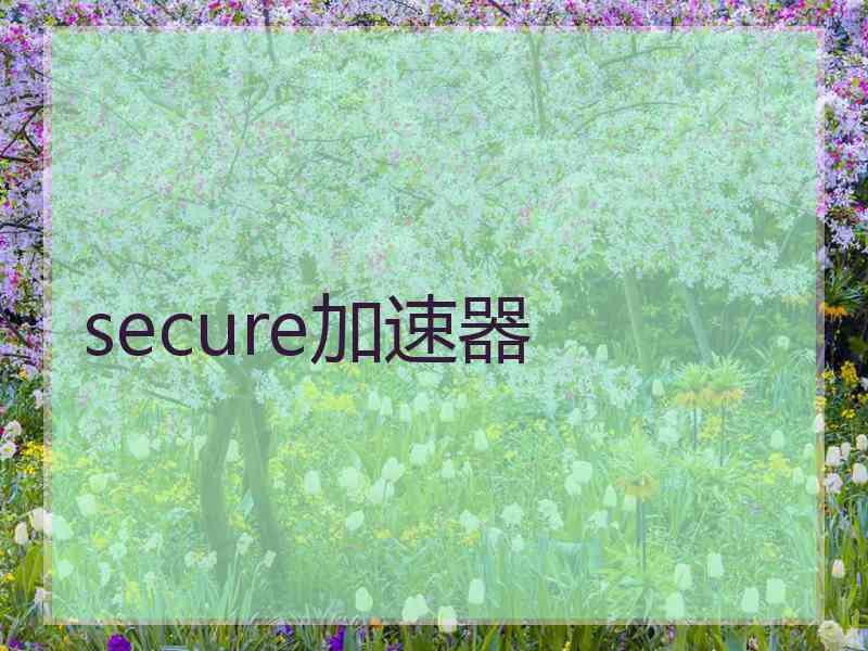 secure加速器