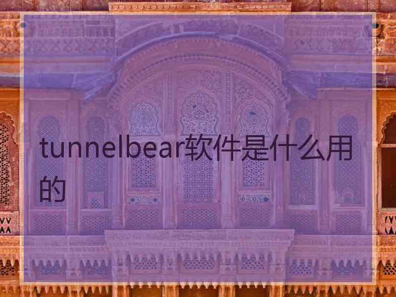 tunnelbear软件是什么用的