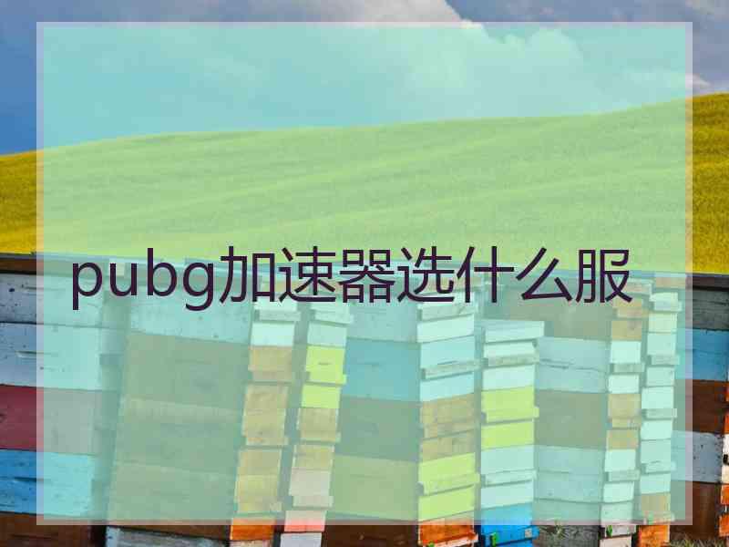 pubg加速器选什么服