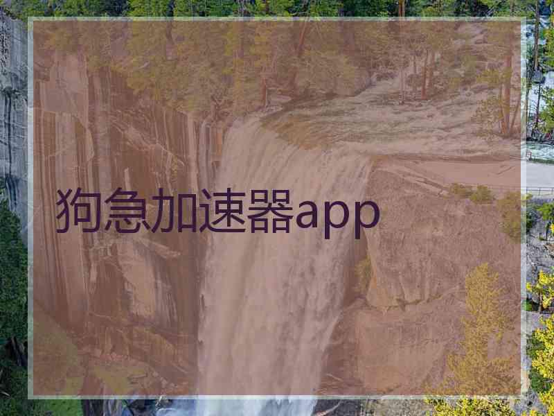 狗急加速器app