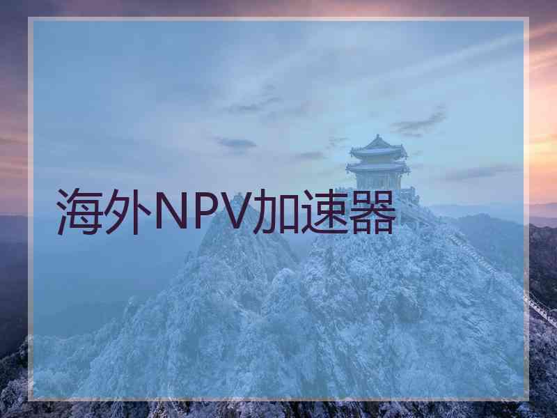 海外NPV加速器