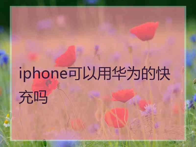 iphone可以用华为的快充吗