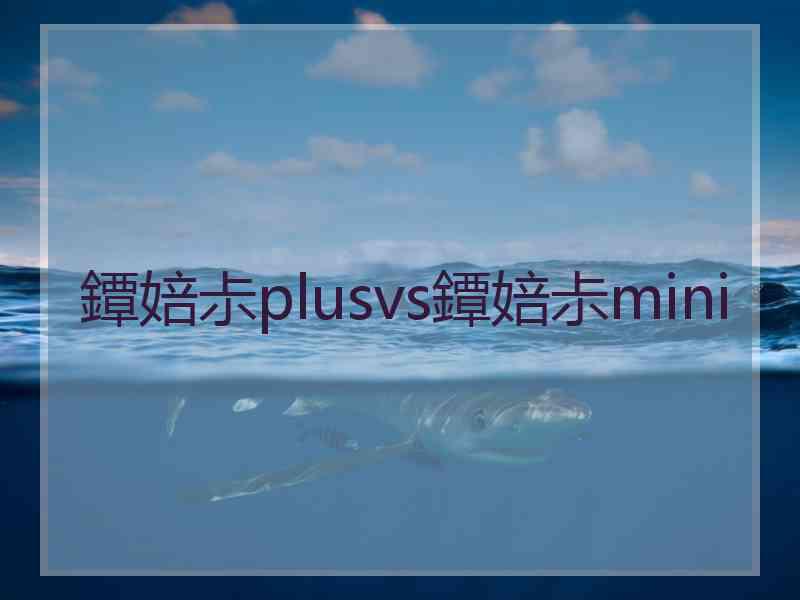 鐔婄尗plusvs鐔婄尗mini