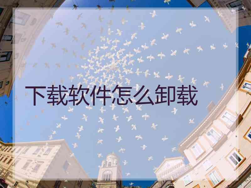 下载软件怎么卸载